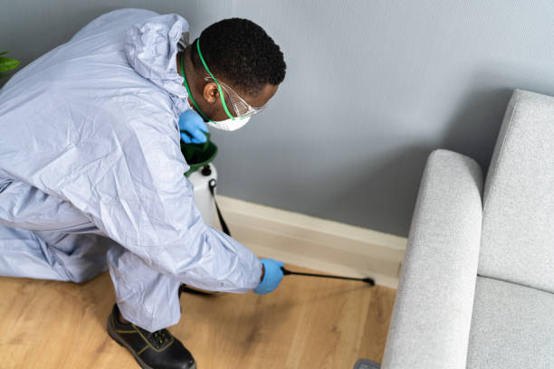 Professional Pest Control in Eugene, OR